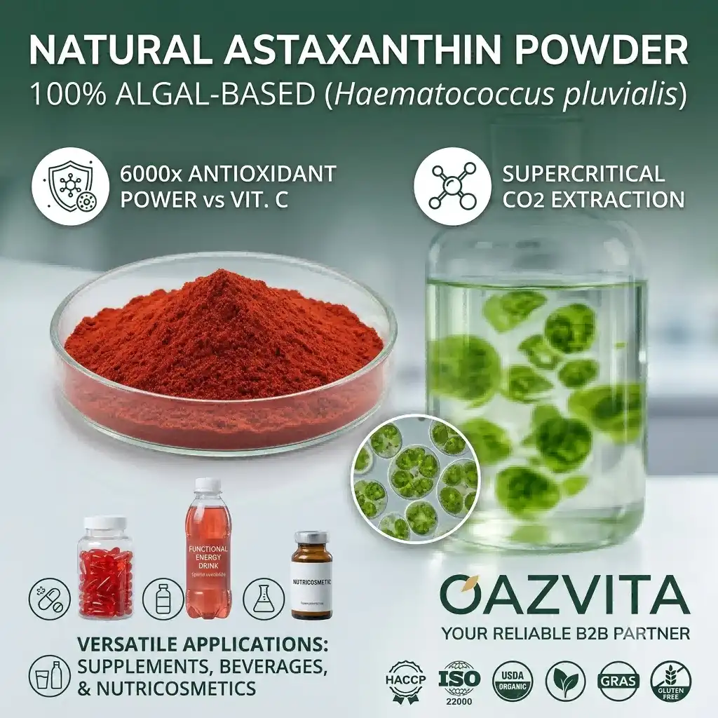 Natural Astaxanthin Powderr: The Ultimate Guide to Nature’s Most Potent Antioxidant Natural Astaxanthin Powderr: The Ultimate Guide to Nature’s Most Potent Antioxidant